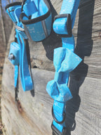 Ensemble de promenade pour chien - Harnais avec Laisse et accessoires pour Chien - Confort & Style