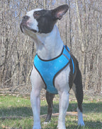 Ensemble de promenade pour chien - Harnais avec Laisse et accessoires pour Chien - Confort & Style