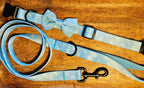 Ensemble de promenade pour chien - Harnais avec Laisse et accessoires pour Chien - Confort & Style
