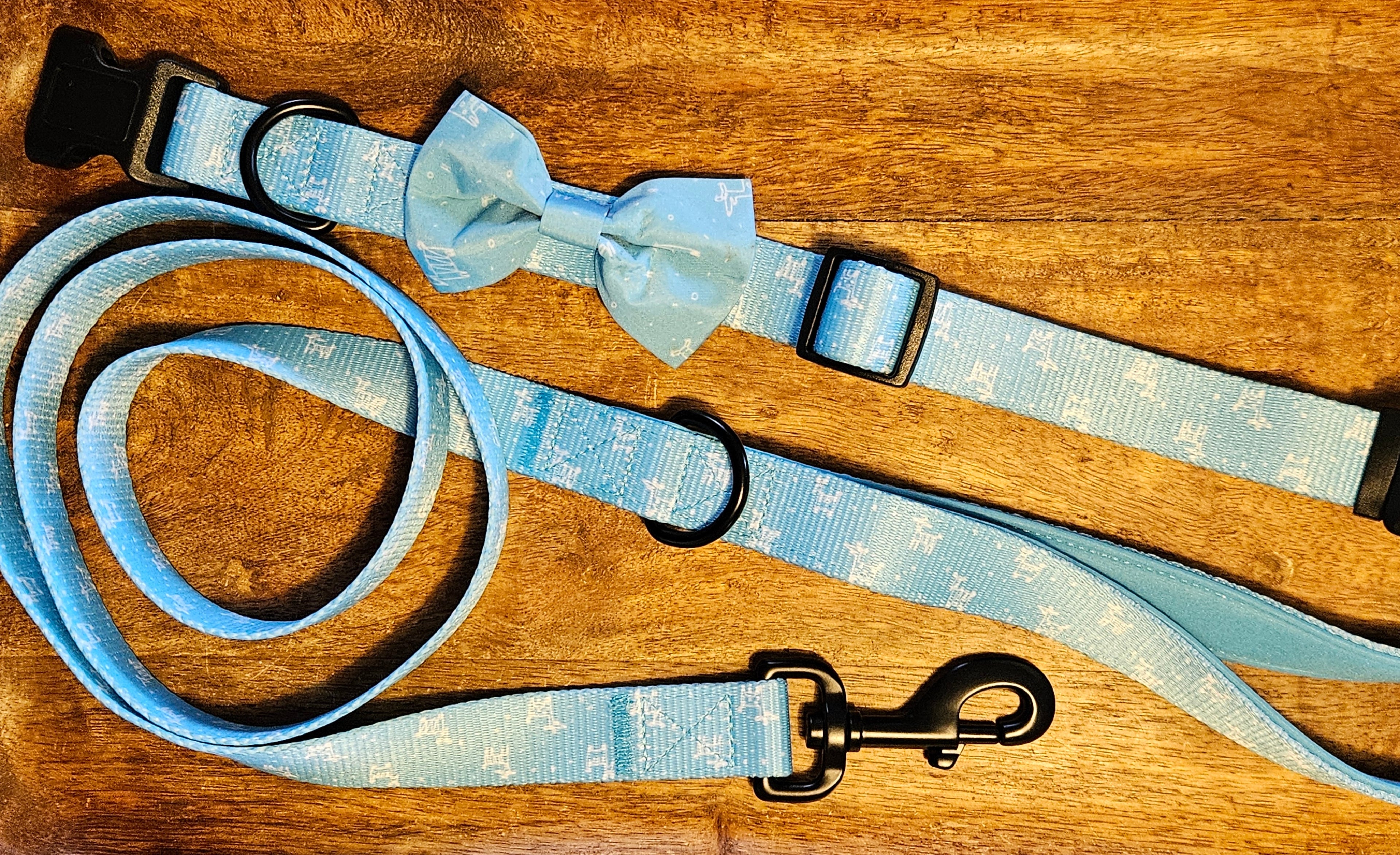 Ensemble de promenade pour chien - Harnais avec Laisse et accessoires pour Chien - Confort & Style
