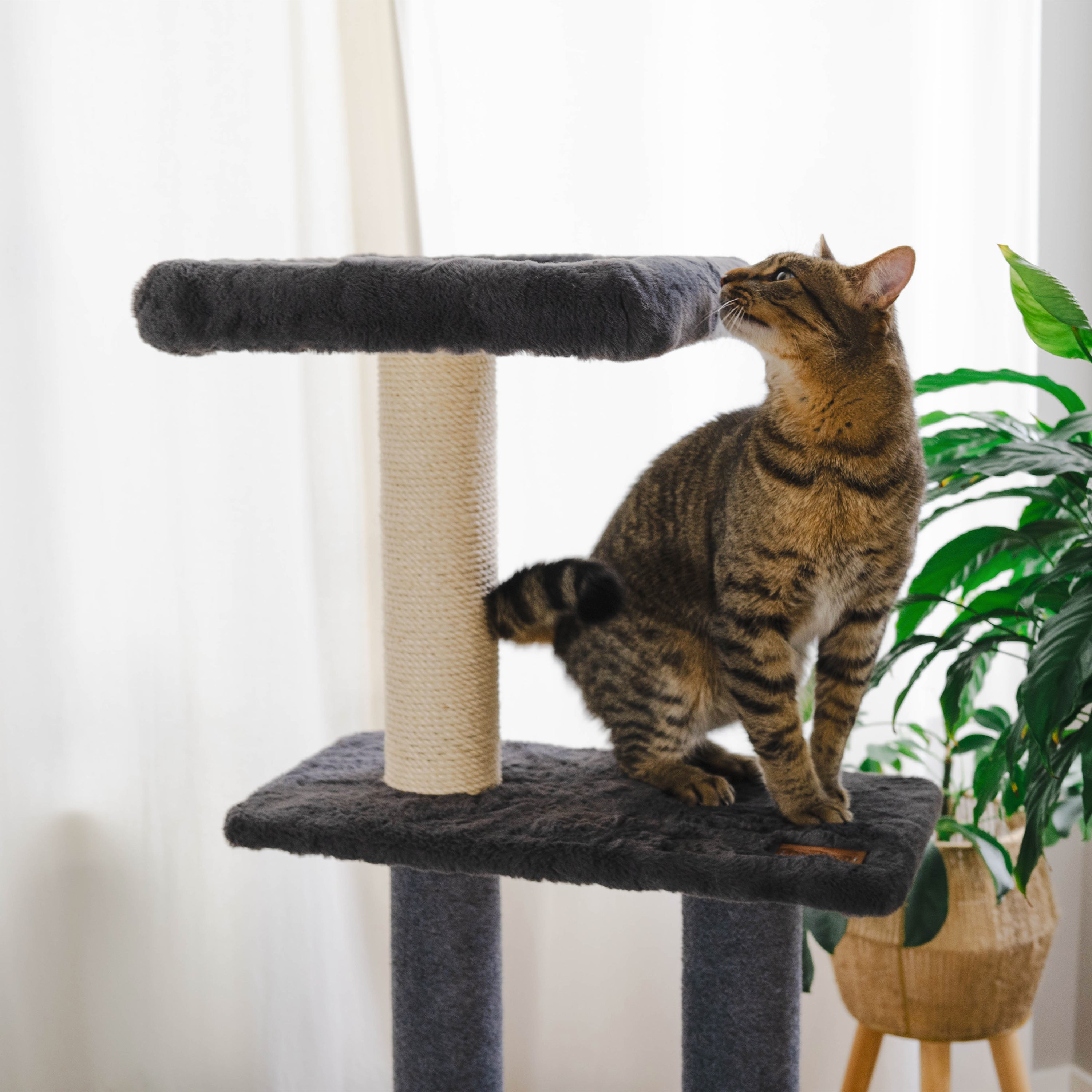 Arbre à Chat Hutte Deluxe 3 Niveaux – Bois & Corde de Fique | Fait au Canada 🇨🇦