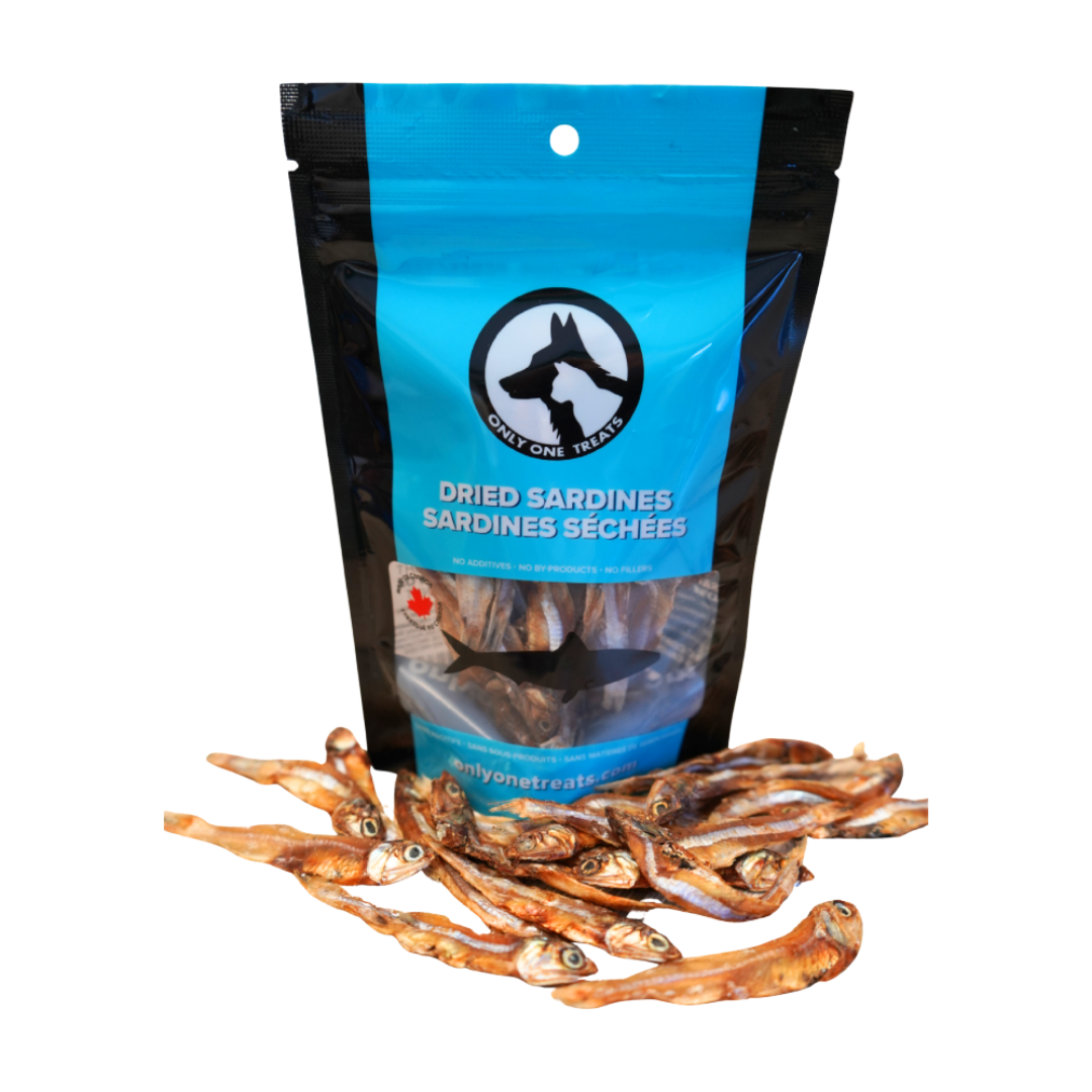 La Sardine Séchée – Gâterie Naturelle pour Chien, Chat et plus 40g