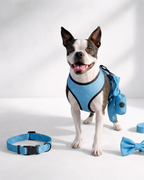 Ensemble de promenade pour chien - Harnais avec Laisse et accessoires pour Chien - Confort & Style