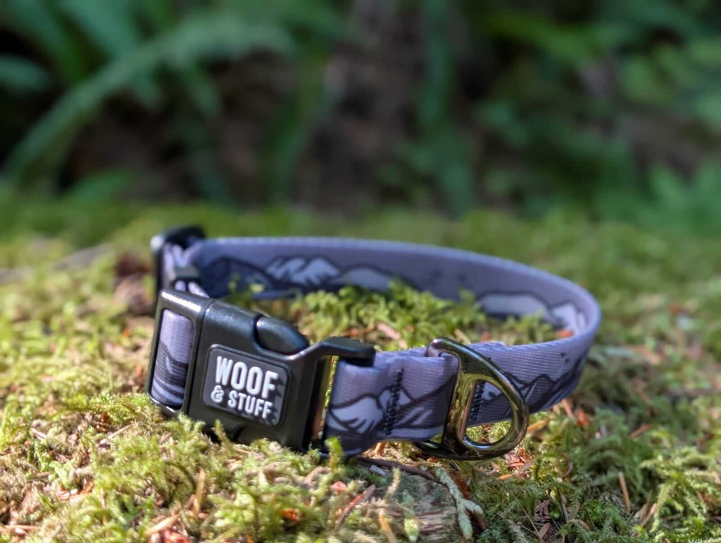 Le Collier Impermeable Moonlight – Collier Aventure Waterproof pour Chien | Woof & Stuff