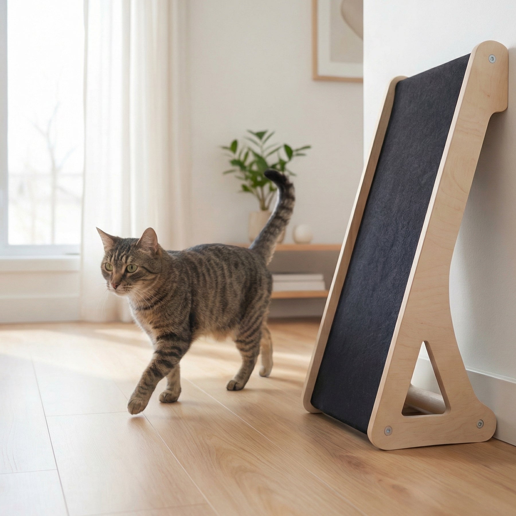 Griffoir Incliné Mural & Sol pour Chat – Fait au Canada 🇨🇦 | Noba Animal Co.