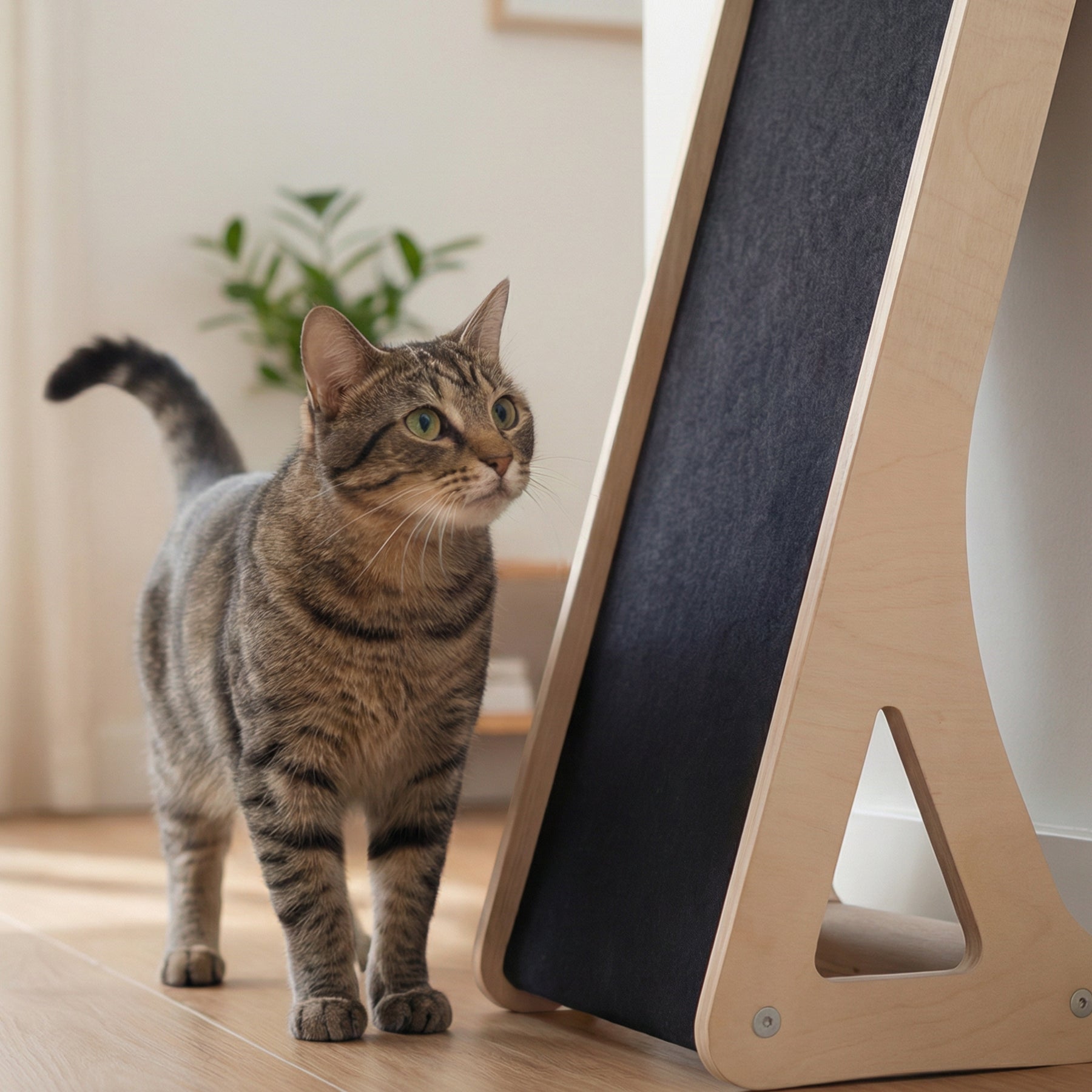 Griffoir Incliné Mural & Sol pour Chat – Fait au Canada 🇨🇦 | Noba Animal Co.