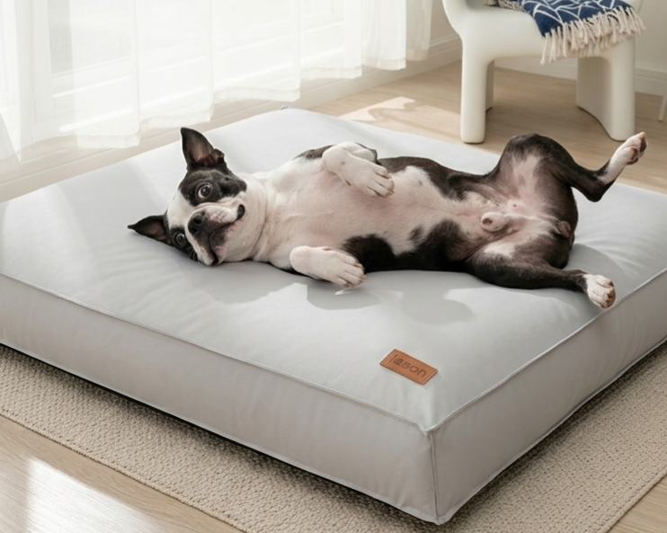 Cozy & Co — Lits Imperméables pour Chien et Chat | Le Grand | Le Cozy | Le Velours