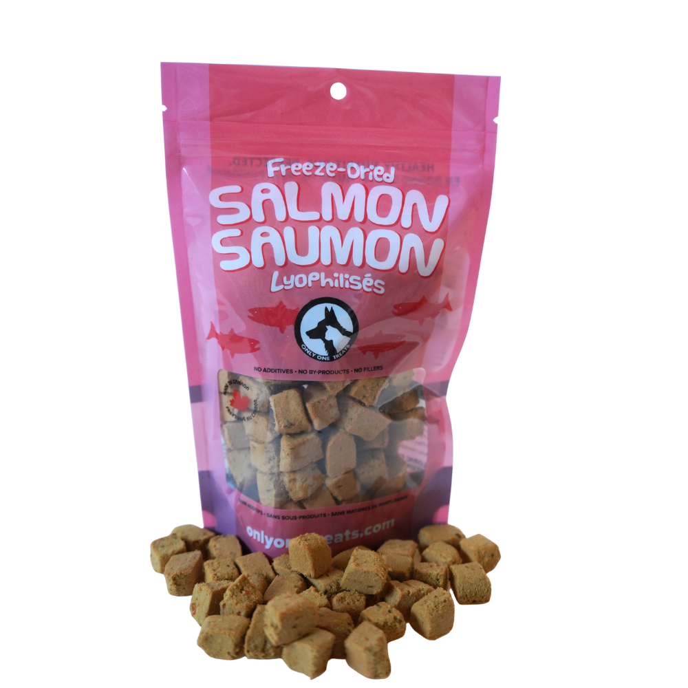 Le Saumon Lyophilisé – Gâterie Naturelle Croustillante pour Chien et Chat 43g