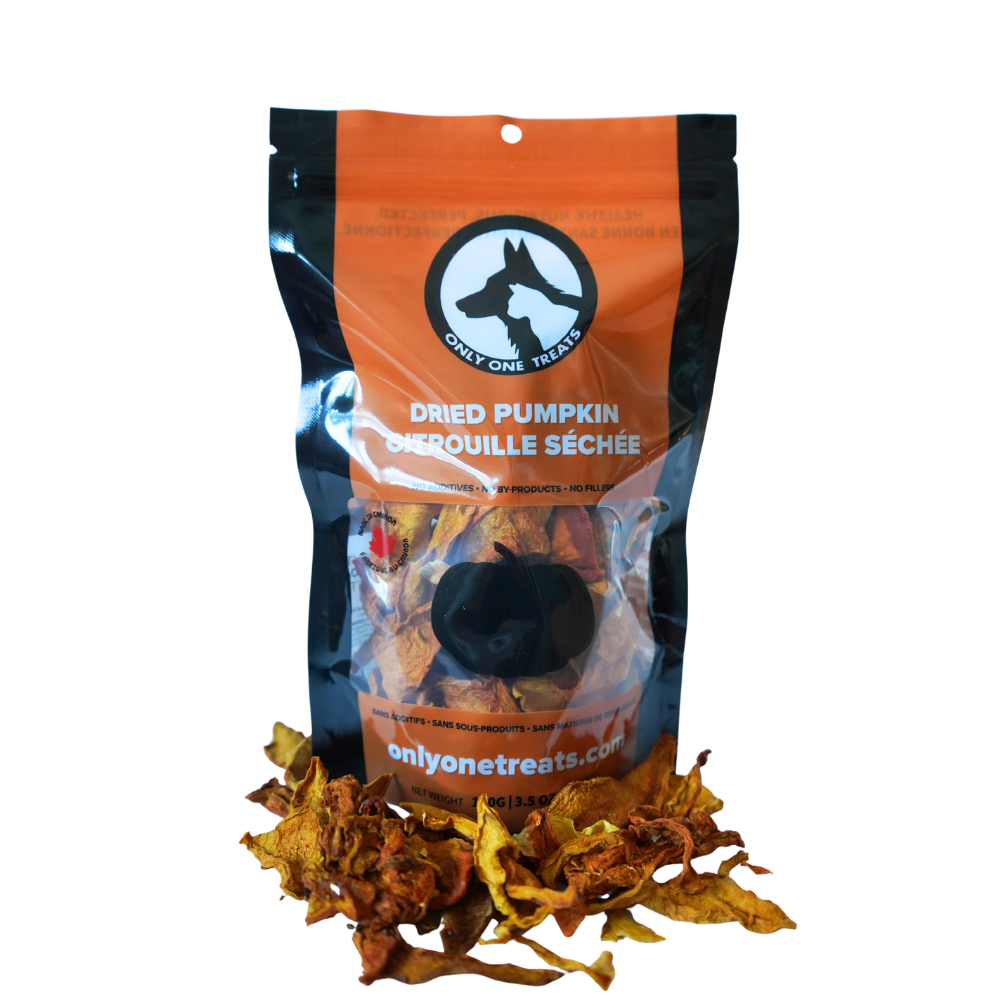 La Citrouille Séchée – Gâterie Naturelle Riche en Fibres pour Chien 100g