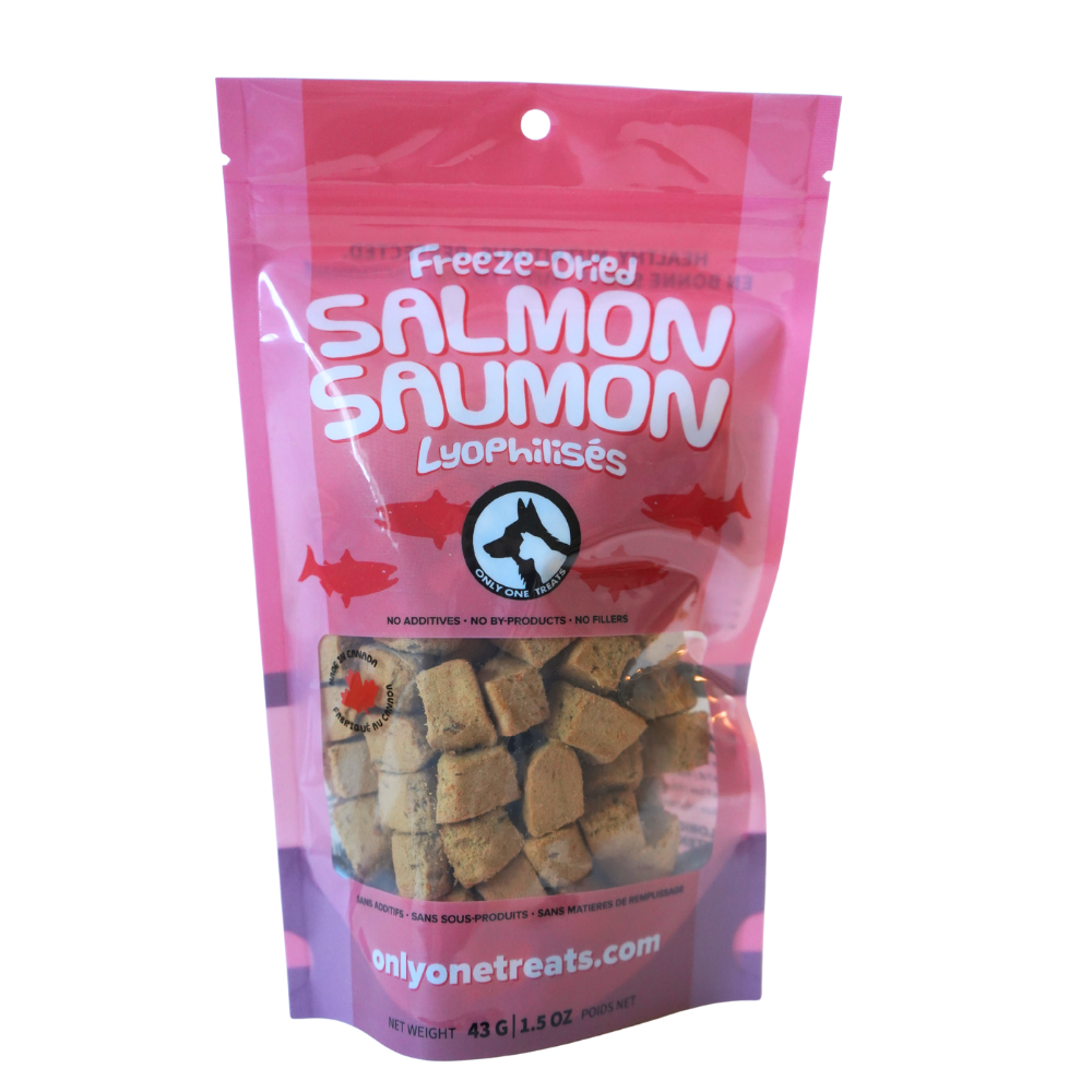 Le Saumon Lyophilisé – Gâterie Naturelle Croustillante pour Chien et Chat 43g