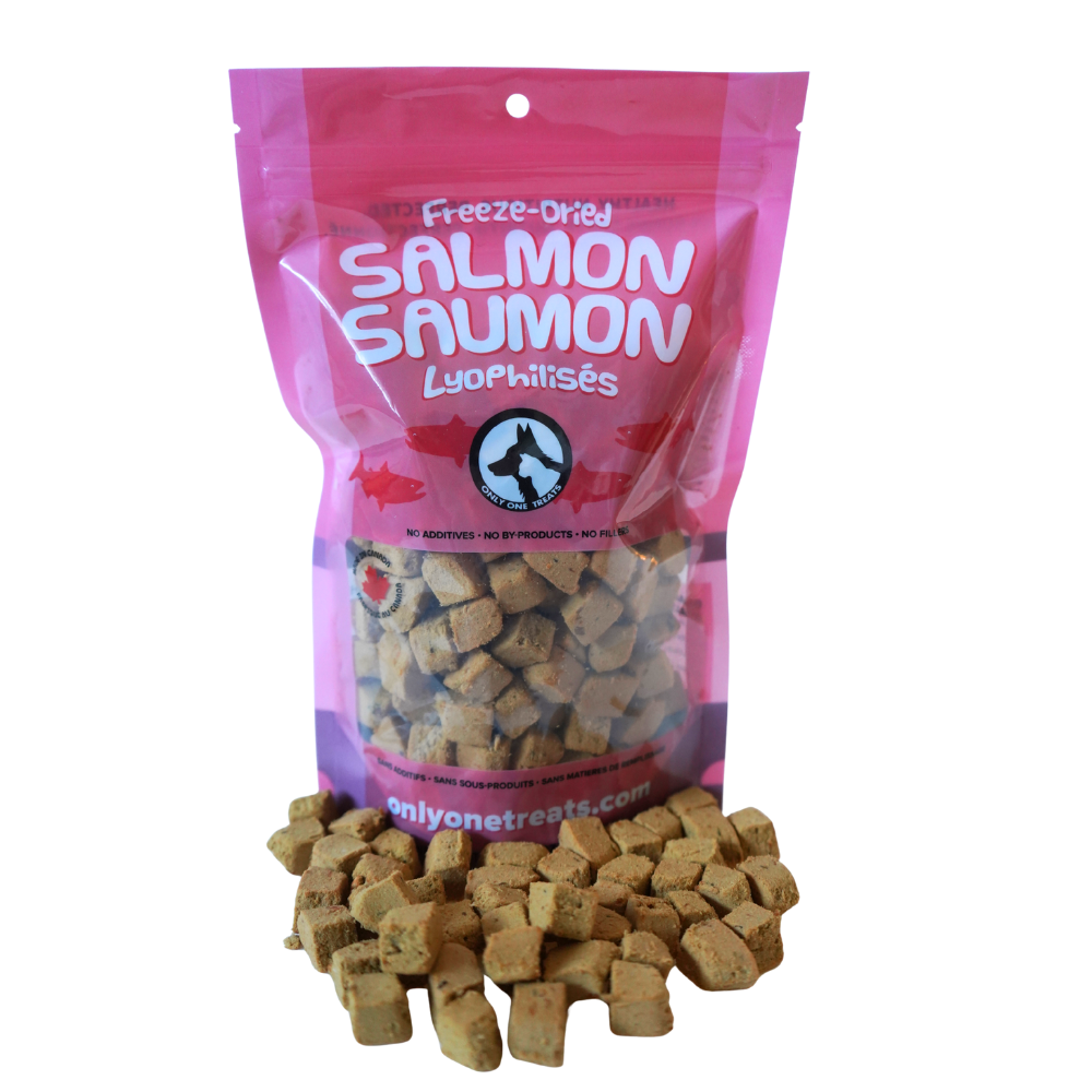 Le Saumon Lyophilisé – Gâterie Naturelle Croustillante pour Chien et Chat 85g