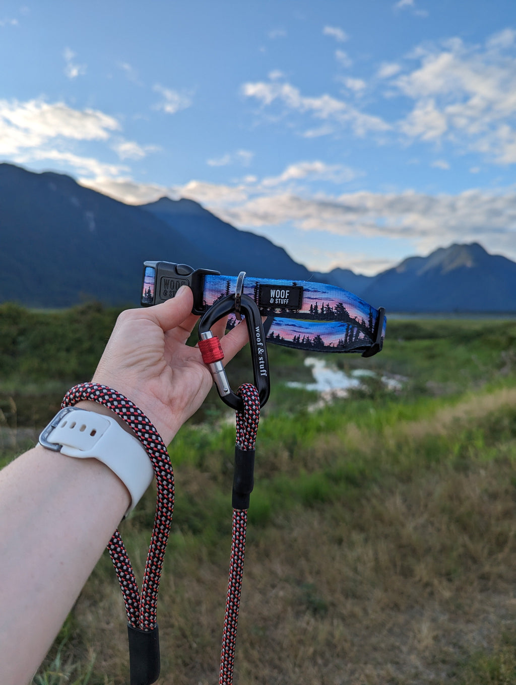 Le Collier Seymour Sunset – Collier Aventure pour Chien | Woof & Stuff