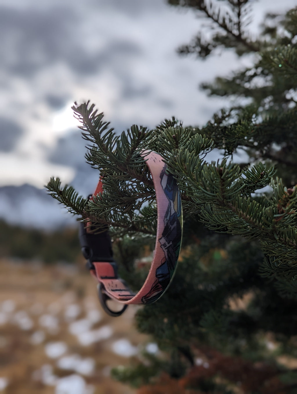 Le Collier Imperméable Sunrise Peaks – Collier Aventure Waterproof pour Chien | Woof & Stuff