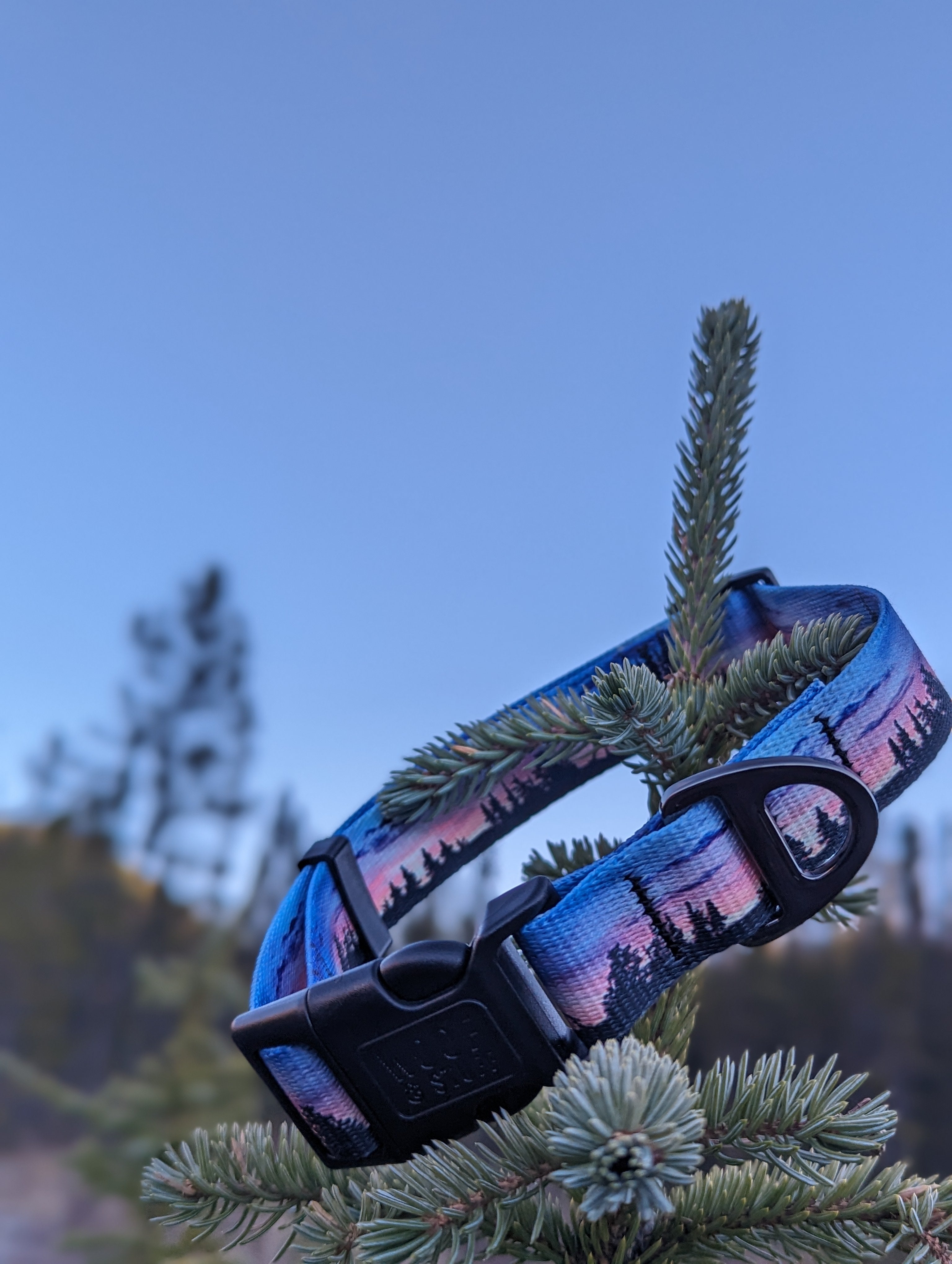 Le Collier Seymour Sunset – Collier Aventure pour Chien | Woof & Stuff