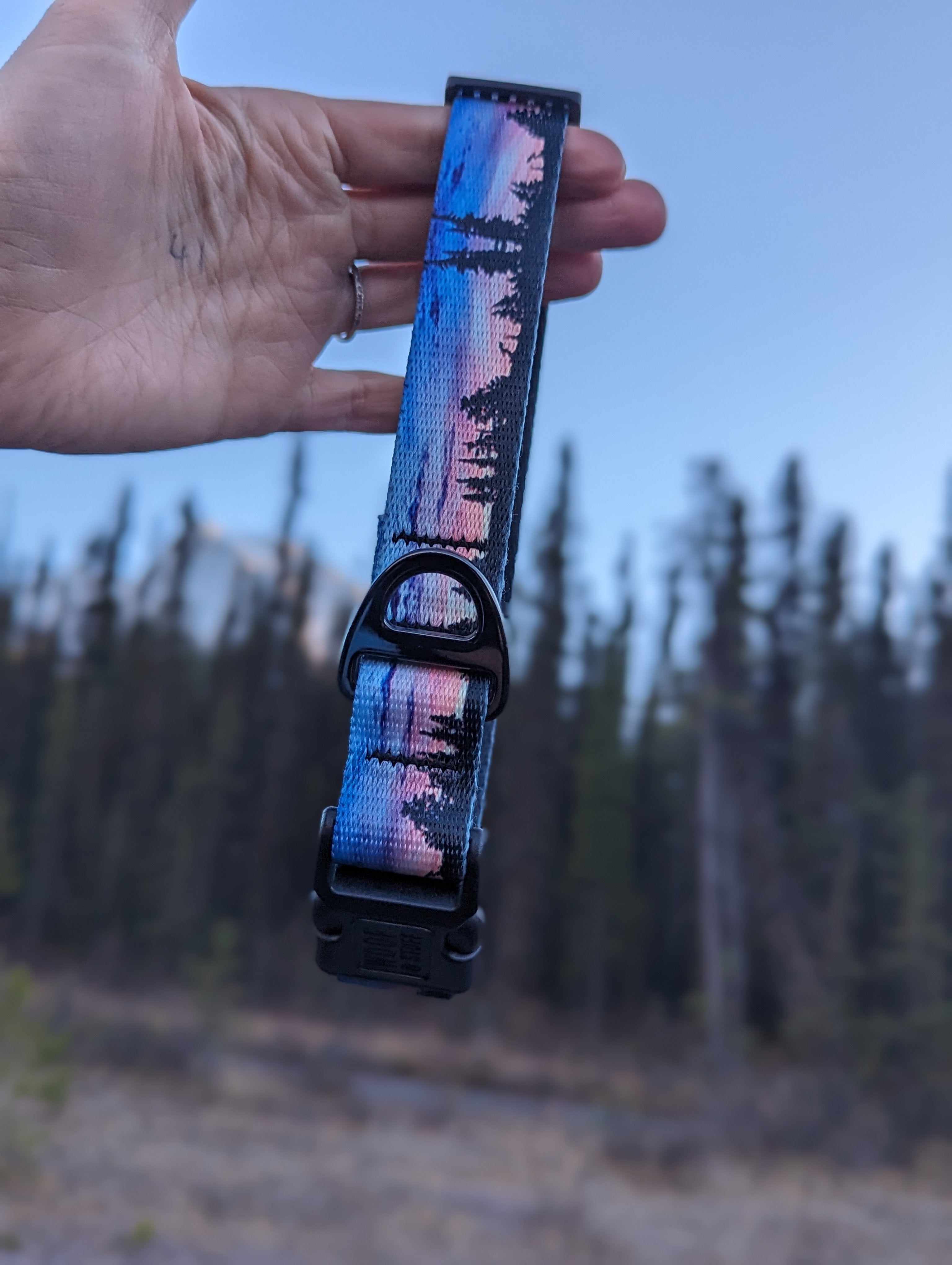 Le Collier Seymour Sunset – Collier Aventure pour Chien | Woof & Stuff