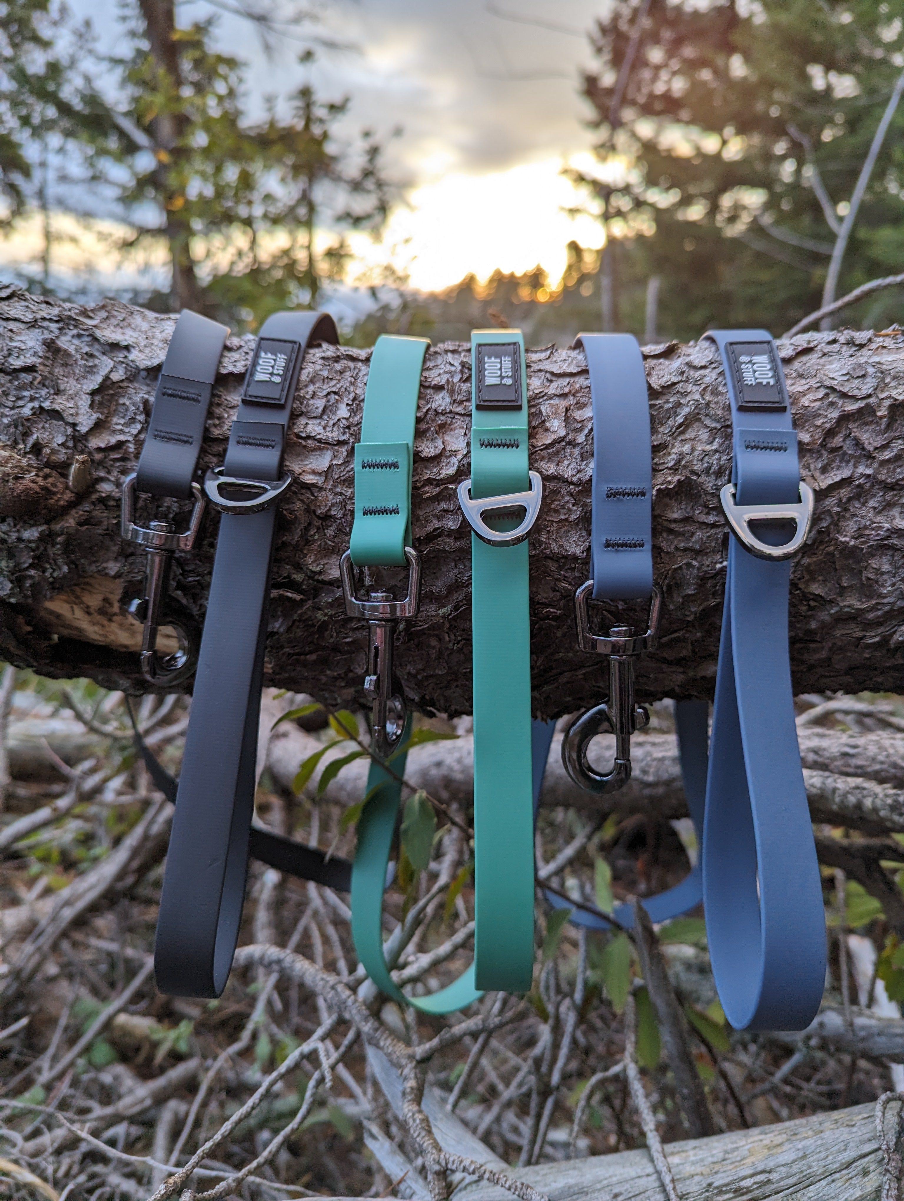 La Laisse Imperméable Raven – Laisse Aventure Waterproof pour Chien | Woof & Stuff