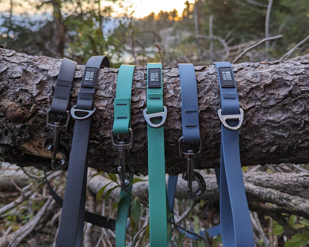 La Laisse Imperméable Blueberry – Laisse Aventure Imperméable pour Chien | Woof & Stuff