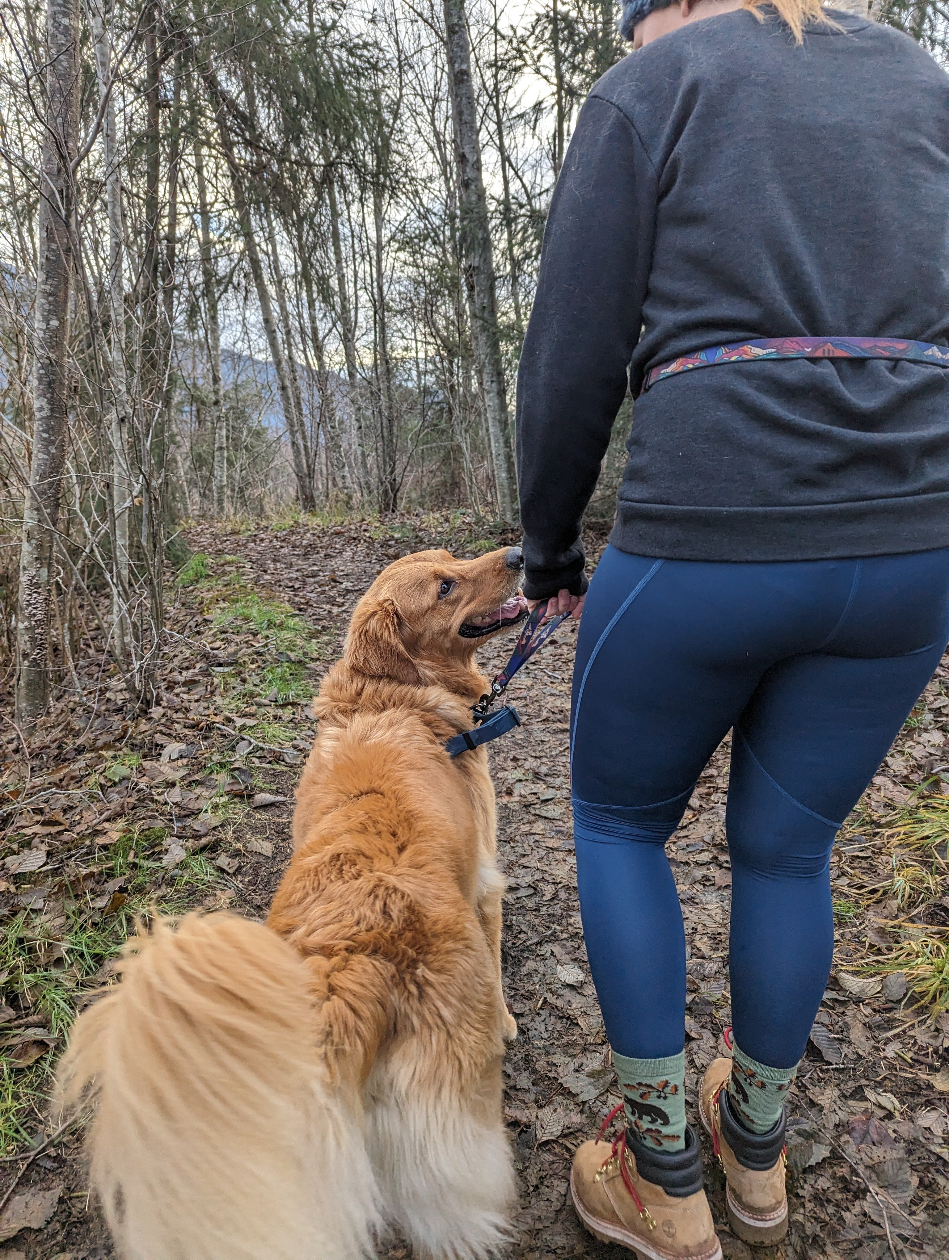 La Laisse Mains Libres Urban – Laisse Multifonction Aventure & Ville pour Chien