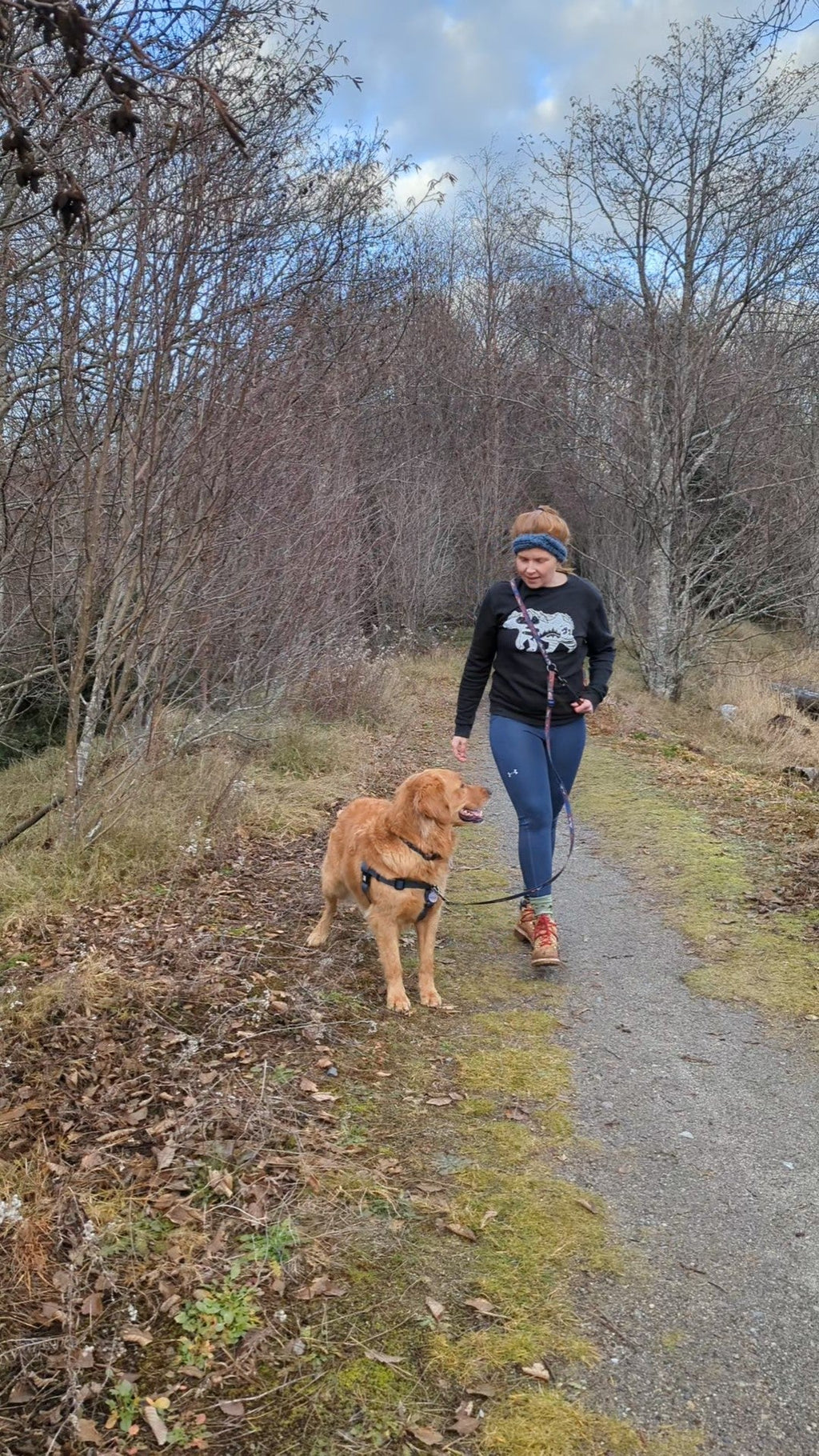 La Laisse Mains Libres Urban – Laisse Multifonction Aventure & Ville pour Chien