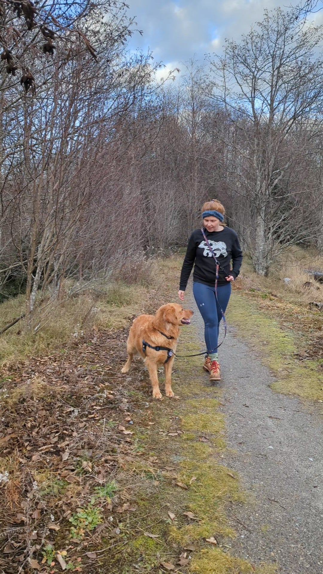 La Laisse Mains Libres Urban – Laisse Multifonction Aventure & Ville pour Chien