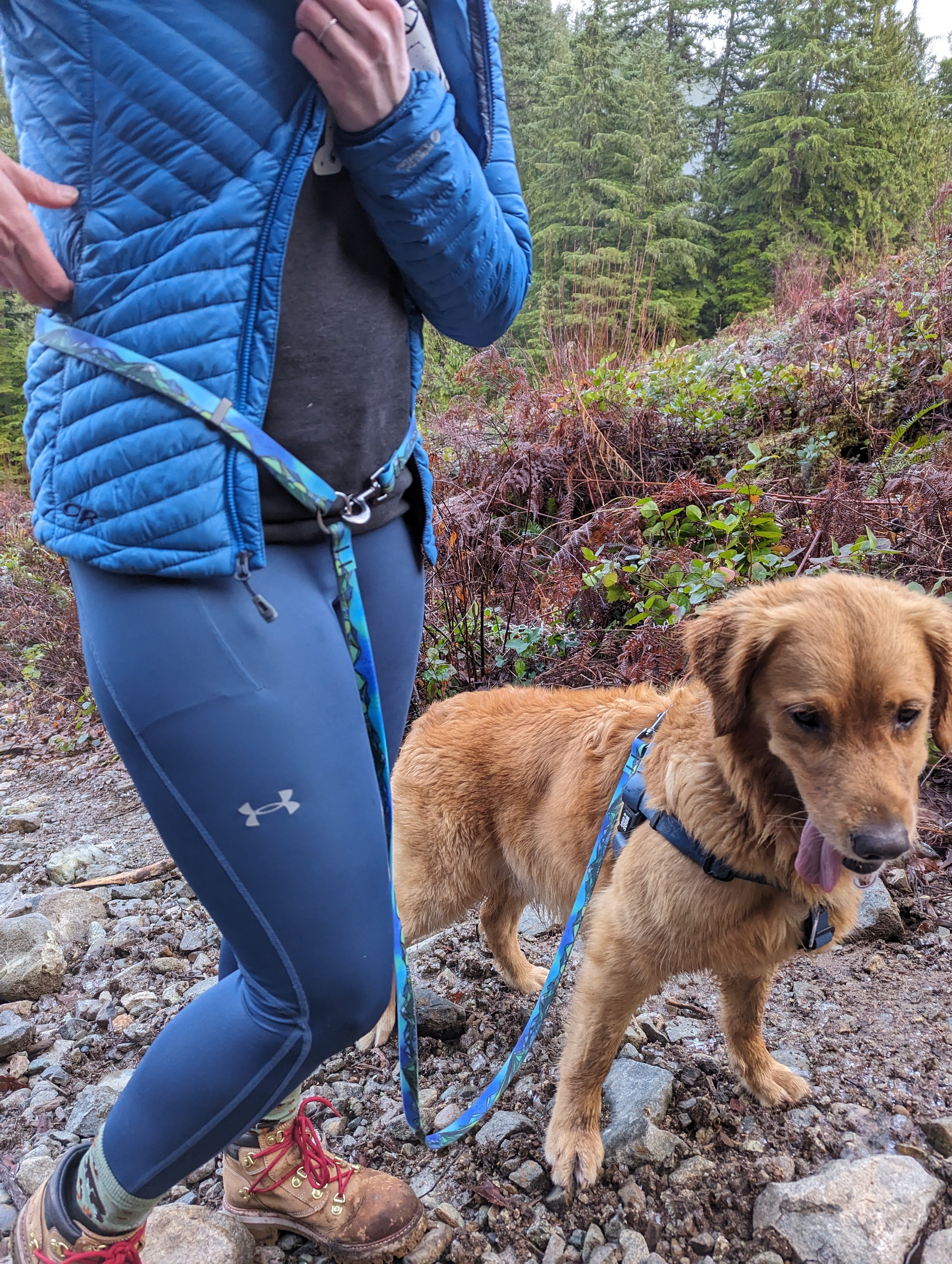 La Laisse Mains Libres Urban – Laisse Multifonction Aventure & Ville pour Chien