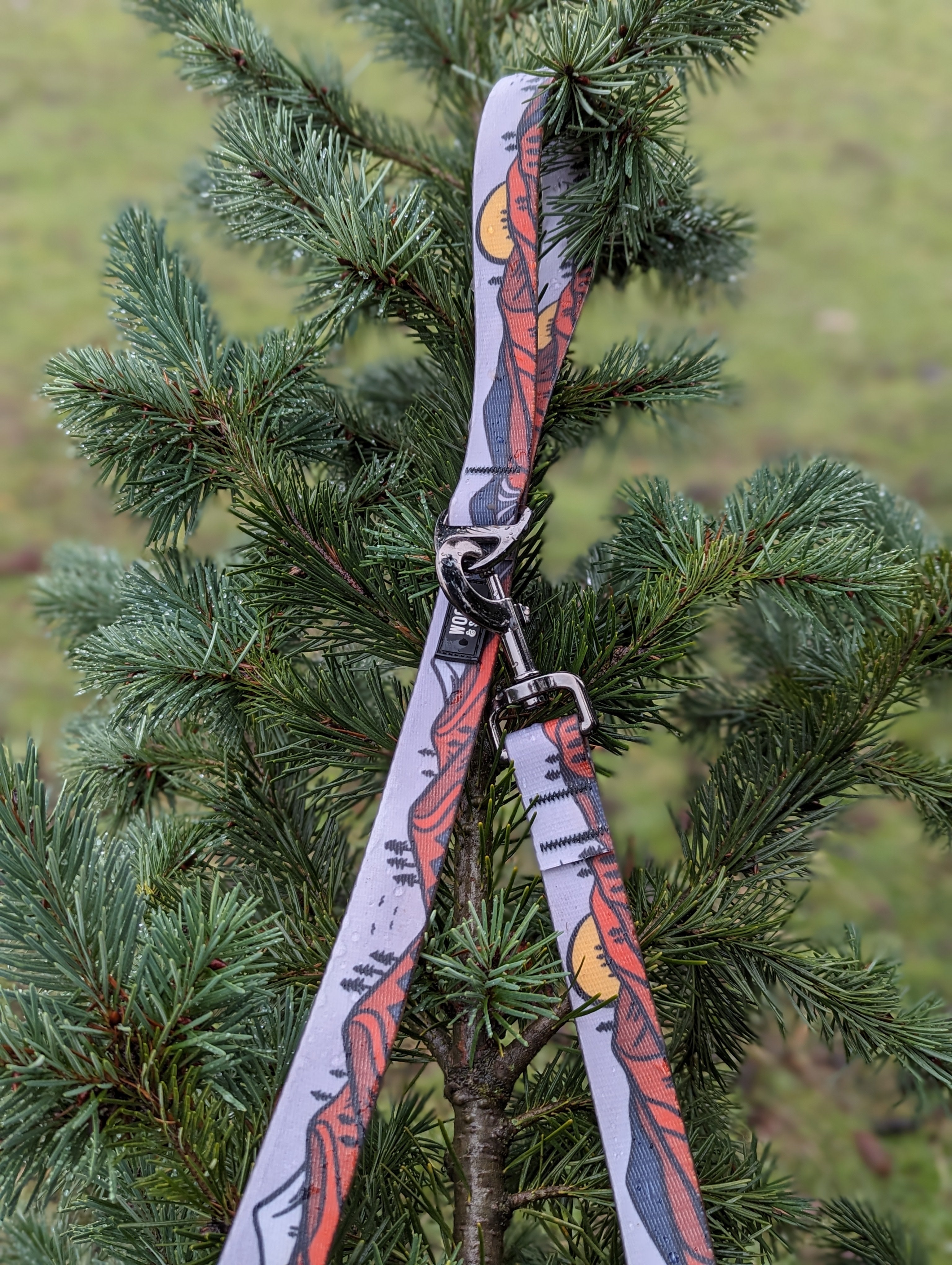 La Laisse Imperméable Wanderlust – Laisse Aventure Waterproof pour Chien | Woof & Stuff