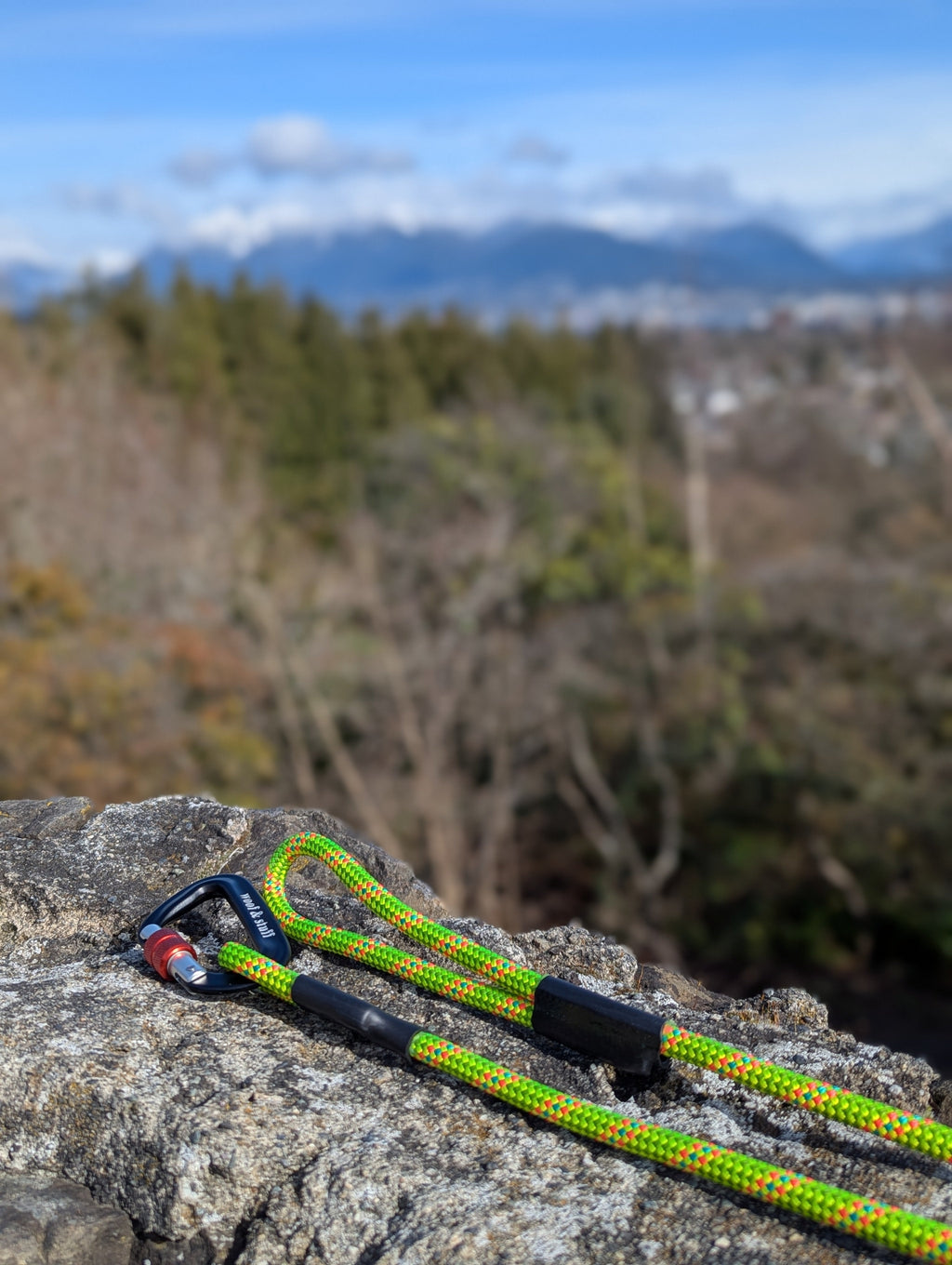 La Laisse en Corde Lichen – Laisse Éco-Responsable en Corde d'Escalade pour Chien | Woof & Stuff