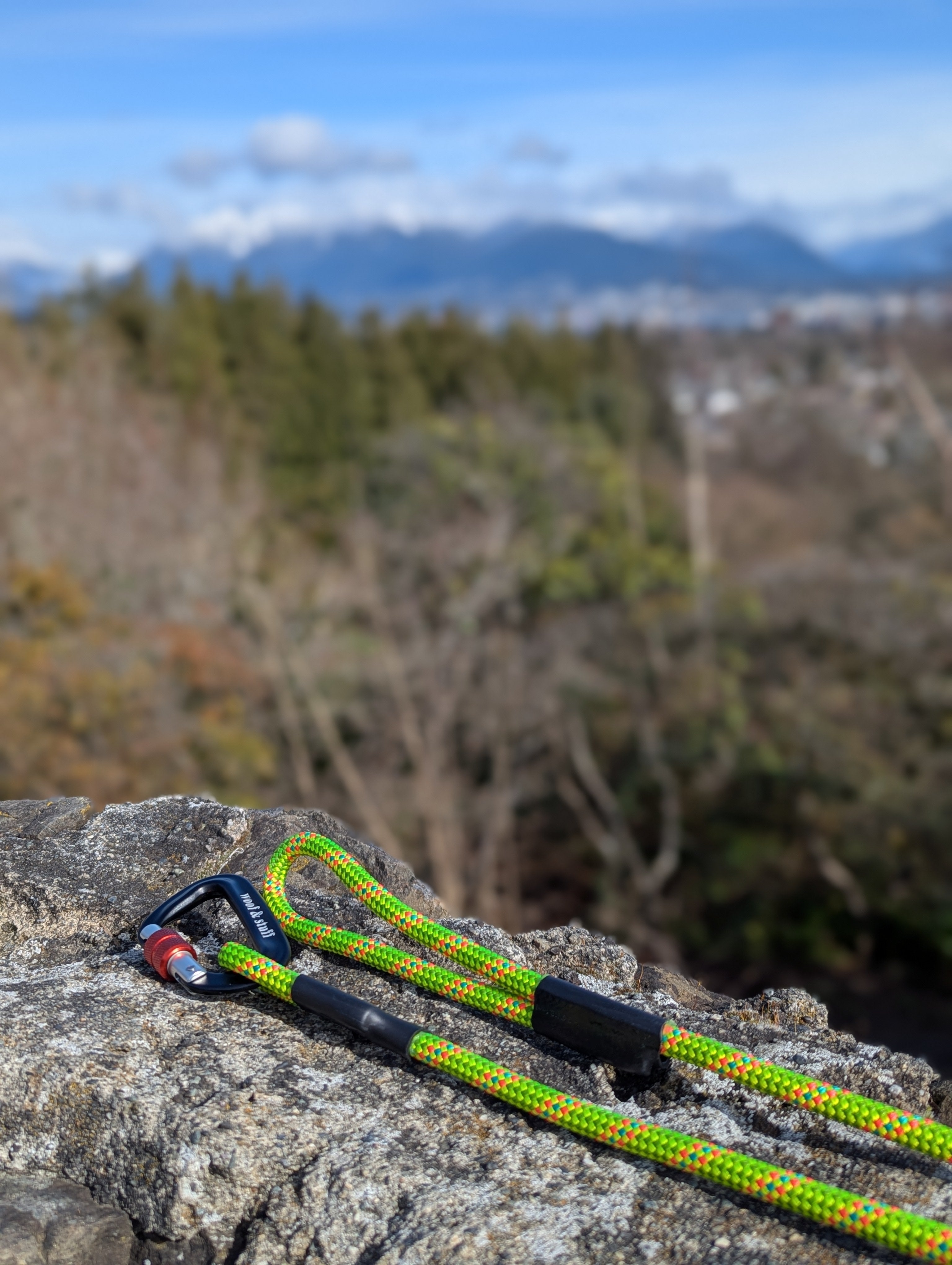 La Laisse en Corde Lichen – Laisse Éco-Responsable en Corde d'Escalade pour Chien | Woof & Stuff