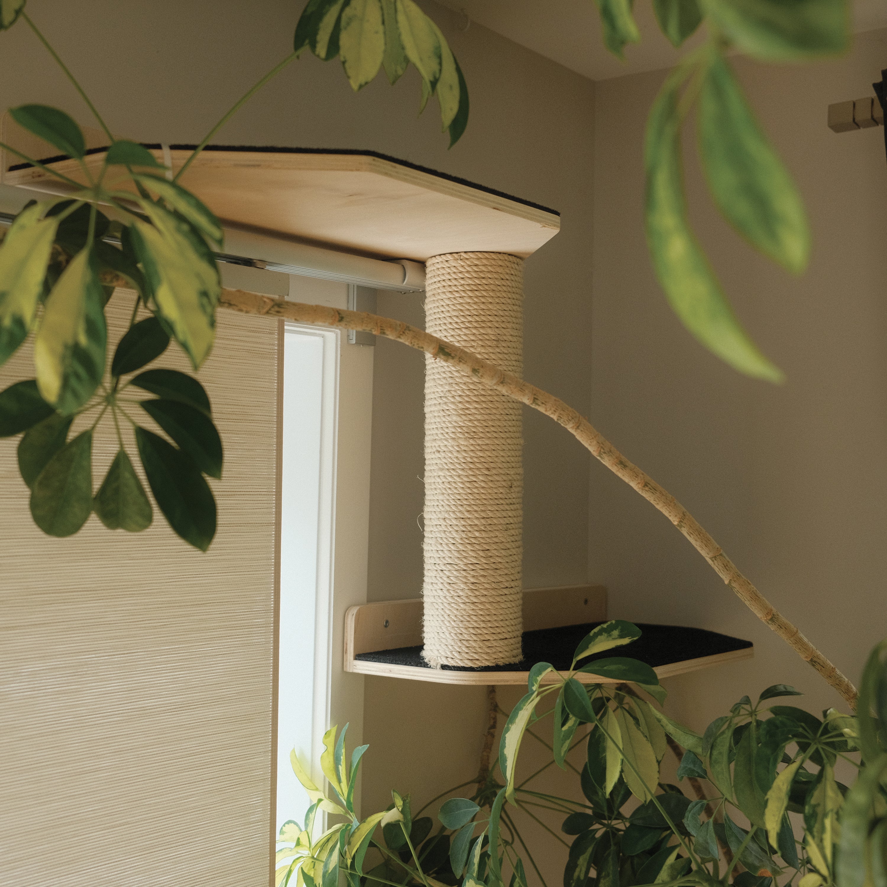 Le Kit Mural Noba – Terrain de Jeu Vertical Complet pour Chat | Noba Animal Co.