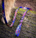 La Laisse Imperméable Midnight Sun – Laisse Aventure Waterproof pour Chien | Woof & Stuff