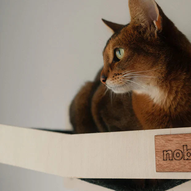 Hamac Mural Griffoir pour Chat – Fait au Canada 🇨🇦 | Noba Animal Co.
