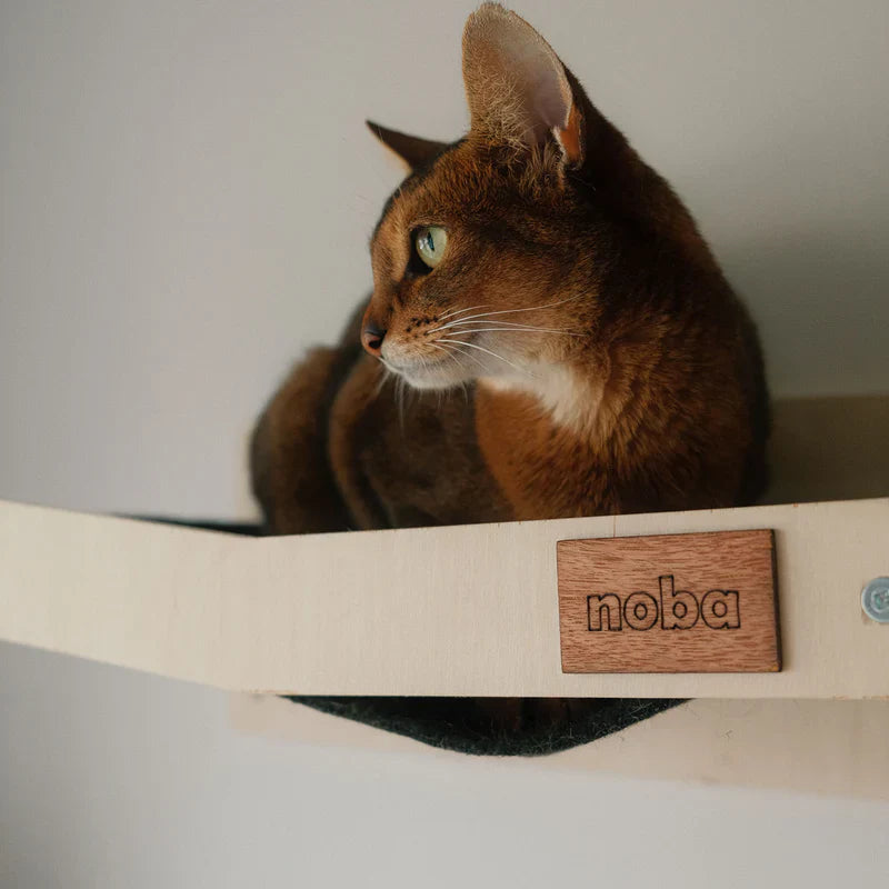 Hamac Mural Griffoir pour Chat – Fait au Canada 🇨🇦 | Noba Animal Co.