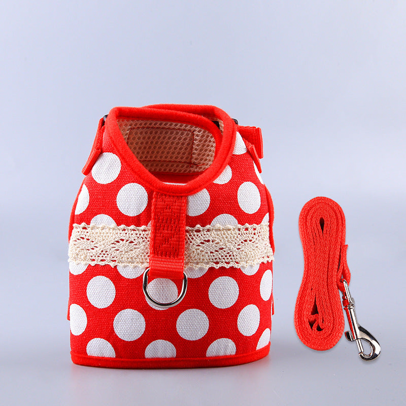 Harnais et laisse pour chien - Design et stylé - Âme & Muzo
