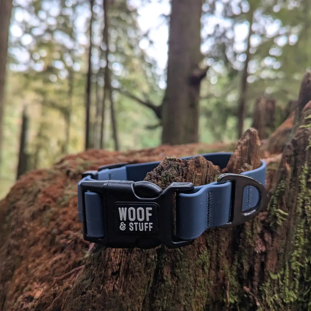 Le Collier Imperméable Blueberry – Collier Aventure Waterproof pour Chien