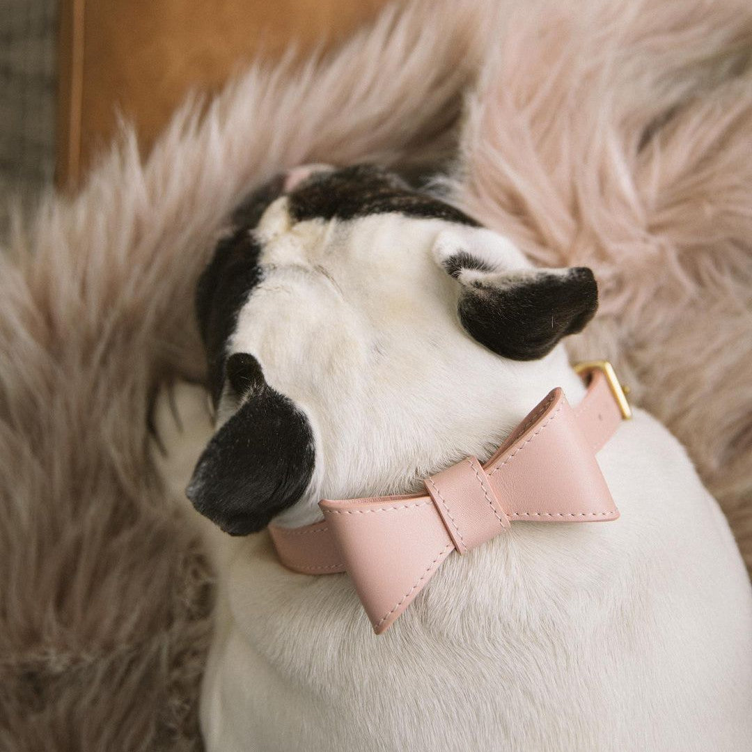 Collier et nœud papillon pour chien rose -Âme & Muzo