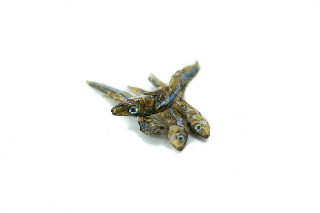La Sardine Séchée – Gâterie Naturelle pour Chien, Chat et plus 40g