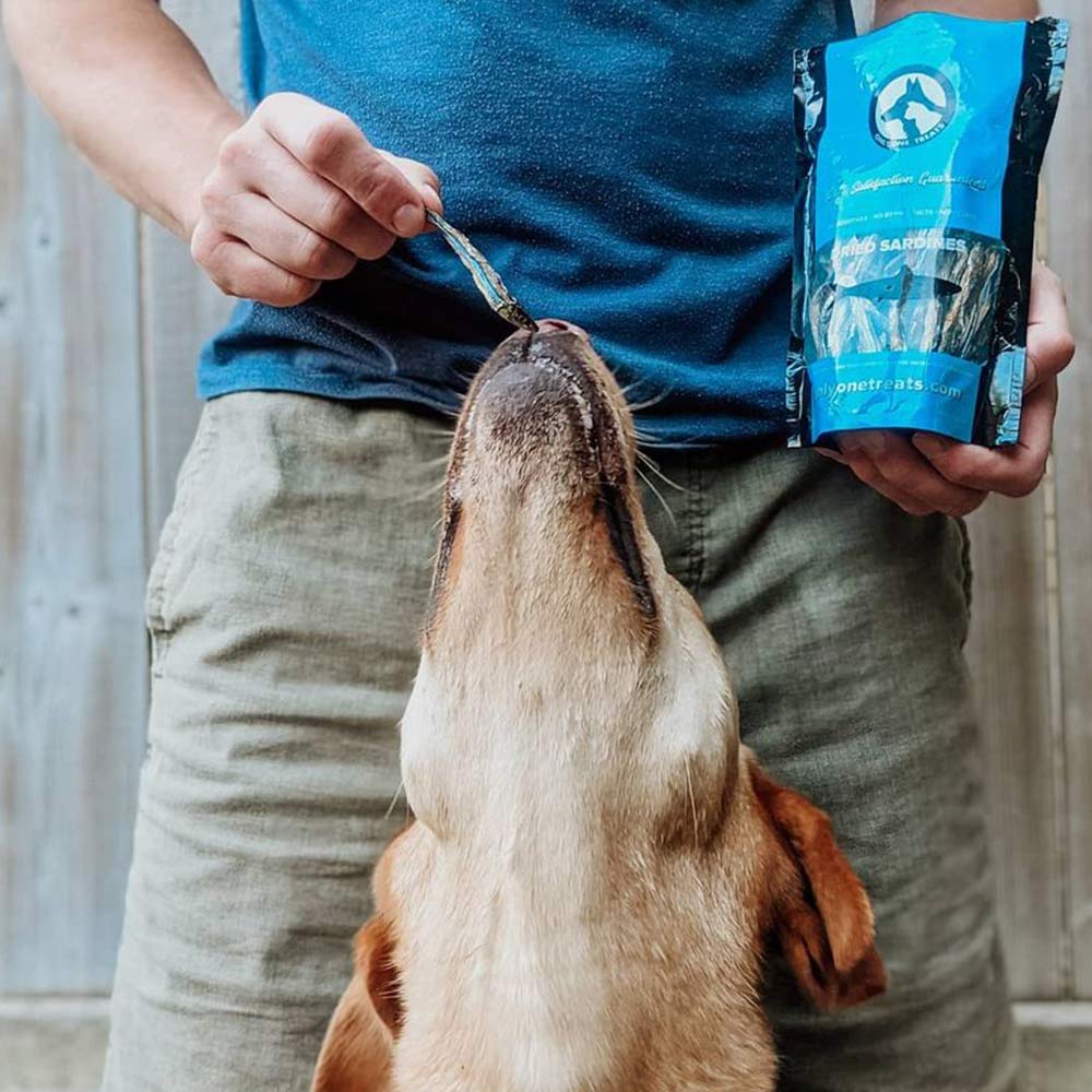 La Sardine Séchée – Gâterie Naturelle pour Chien, Chat et plus 40g