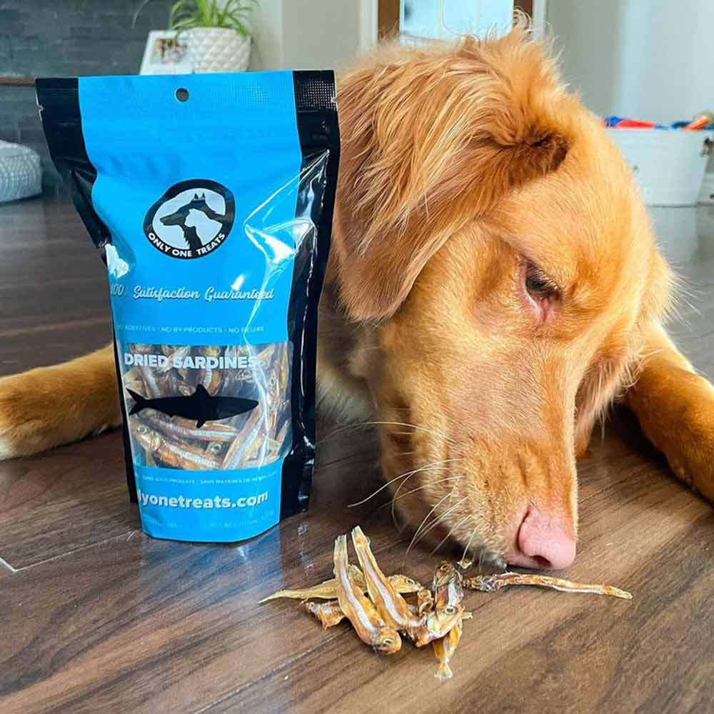 La Sardine Séchée – Gâterie Naturelle pour Chien, Chat et plus 90g