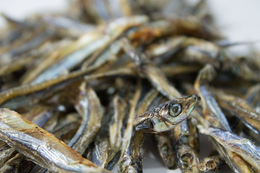 La Sardine Séchée – Gâterie Naturelle pour Chien, Chat et plus 90g