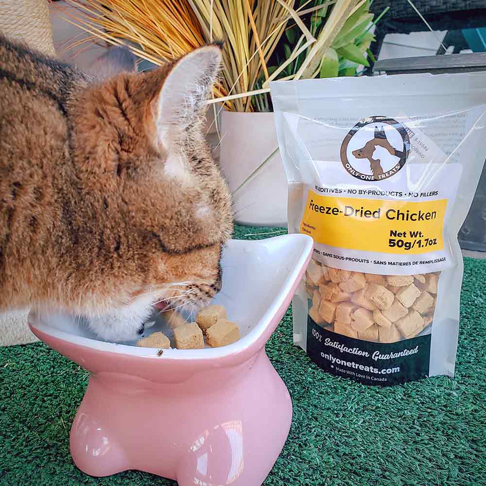 Le Poulet Lyophilisé – Gâterie Naturelle Haute Protéine pour Chien et Chat 50g