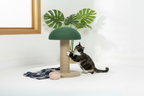 Alice le chat et Méo le Boston Terrier avec griffoir champignon sisal - Photo lifestyle Âme & Muzo