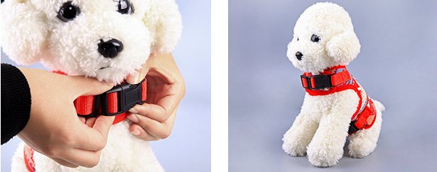 Fixation pour Harnais et laisse pour chien - Design et stylé - Âme & Muzo
