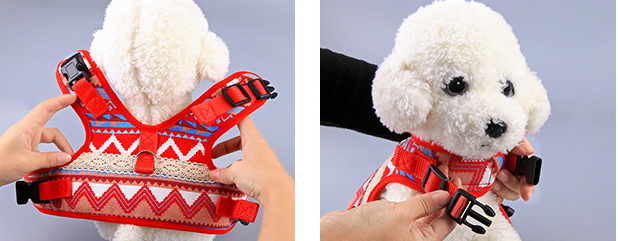 Fixation pour Harnais et laisse pour chien - Design et stylé - Âme & Muzo