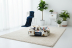Lit motifs chiens lifestyle sans animaux