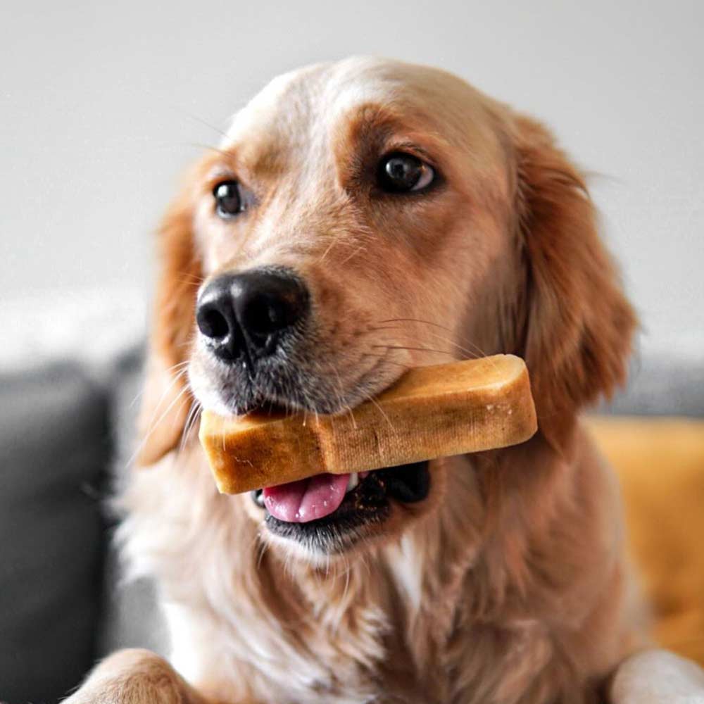 Le Yak Snak Classique – Gâterie Longue Durée Naturelle pour Chien | Medium