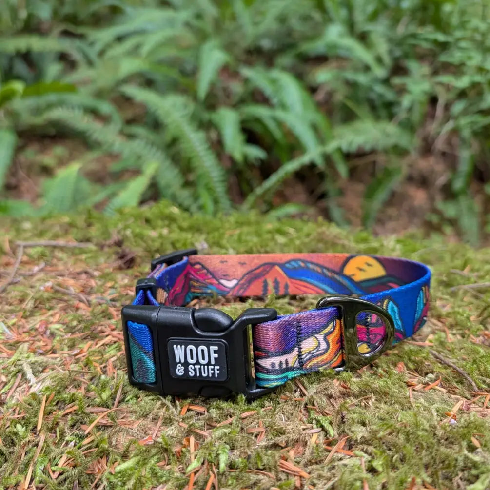 Le Collier Midnight Sun – Collier Aventure pour Chien | Woof & Stuff
