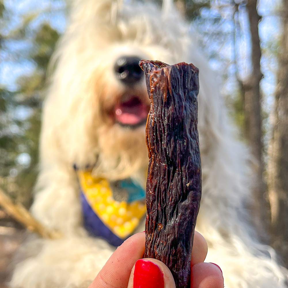 Les Bâtonnets Lapin & Castor – Gâterie Naturelle Fumée pour Chien | 70g