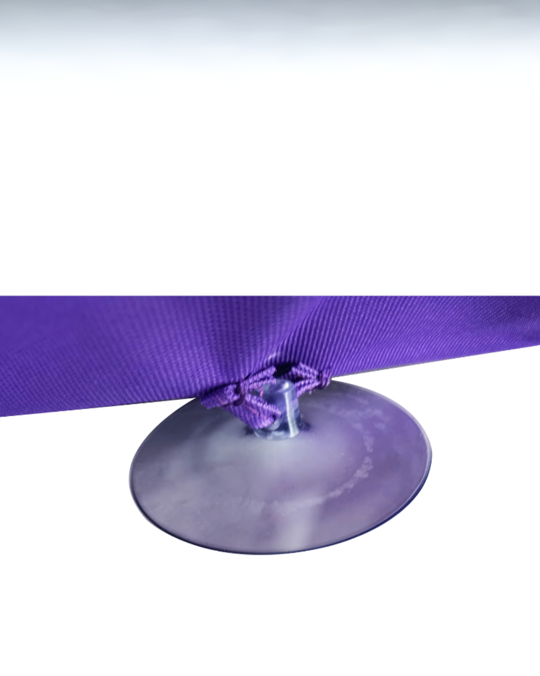 Tapis de fouille Forbidden Grapes™ – Enrichissement pour Chien | PawzNDogz