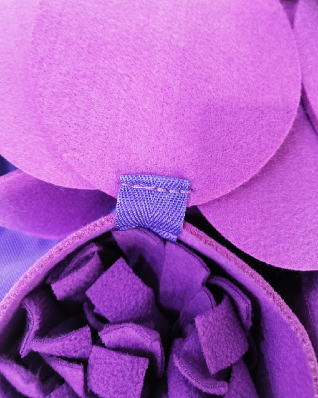 Tapis de fouille Forbidden Grapes™ – Enrichissement pour Chien | PawzNDogz