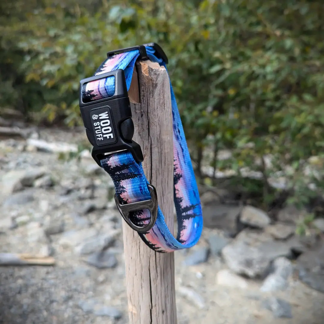 Le Collier Seymour Sunset – Collier Aventure pour Chien | Woof & Stuff